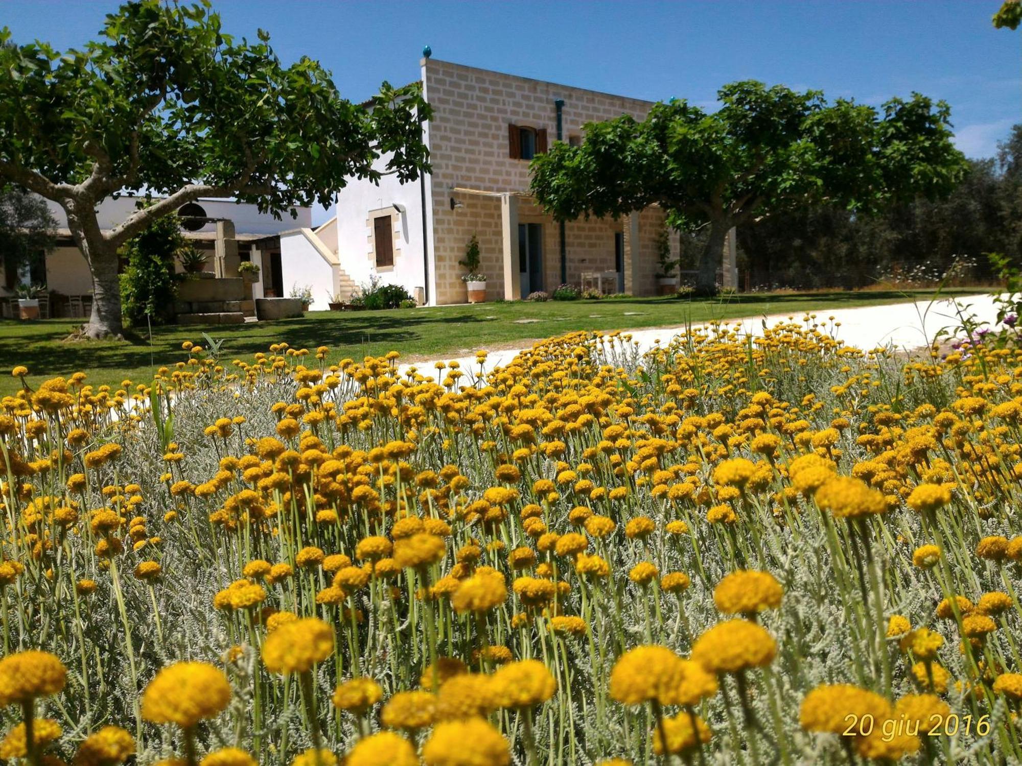 Masseria Vignenove Uggiano La Chiesa Extérieur photo